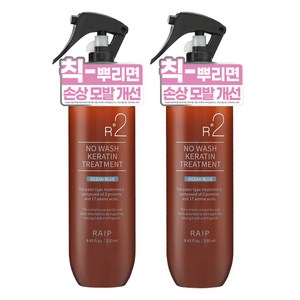 라입 R2 노워시 케라틴 헤어 트리트먼트 오션블루, 2개, 250ml