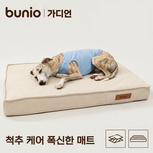 BUNIO 메모리폼 강아지방석 반려동물 침대 사계절용 생활방수 내마모 원단 푹신한 편안한 체압분산 안정적인 지지력 쇼파, 1세트, 크림