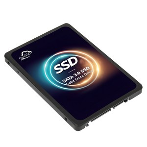 한창코퍼레이션 CLOUD SSD 2.5 SATA, 480GB