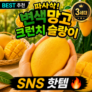 라온 수제 변색망고 크런치 슬랑이 스퀴시, 라온(망고), 100g, 1개