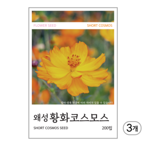 새싹바라기 왜성황화코스모스 씨앗 200립, 3개