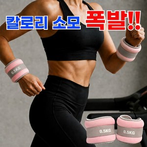 와일드윙 균형훈련 손목 발목 모래주머니, 핑크, 1kg