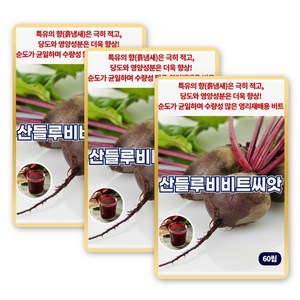 산들 루비 비트씨앗 60립 특유 향이 적고 당도 높은 소량 비트씨 종자, 3개