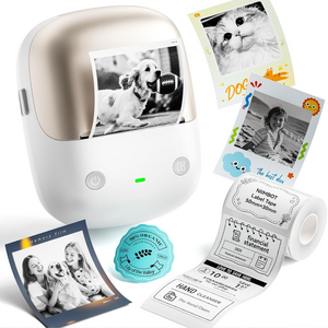 Niimbot B2포토(Pro) 듀얼컬러 라벨프린터, 1개, B2포토(Pro)골드+포토인화지 화이트54x67