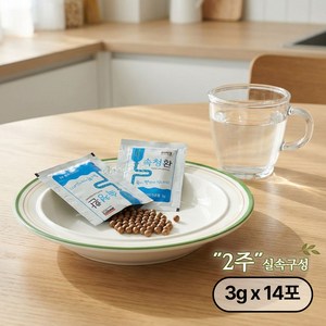 양생당 속청환 실속형 벌크(낱개) 포장 기간별 구성/ 속편한 한방 환, 3g, 14개