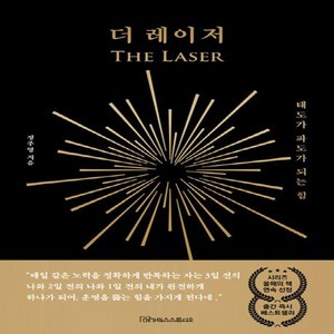 더 레이저 개정증보판, 메가믹스스튜디오, 정주영