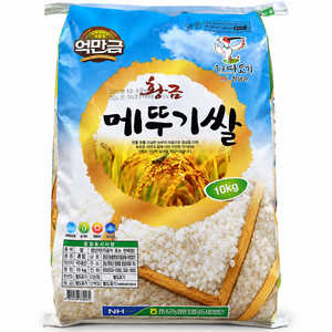창녕군농협 억만금 황금 메뚜기쌀 상등급, 10kg, 1개