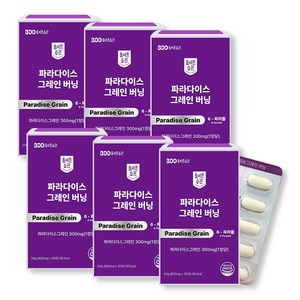 올바른습관 파라다이스 그레인 버닝 6파라돌 300mg, 6개, 30정