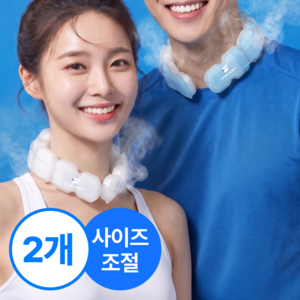 핏츠런 아이스 넥쿨러 목 아이스팩 목쿨러 국산, 블루, 2개