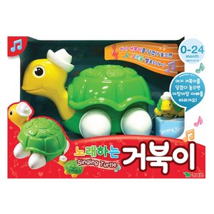 [영실업] 마이퍼스트 노래하는 거북이_ 아장아장 아기 거북이, 단품, 선택:(영실업) 노래하는 거북이