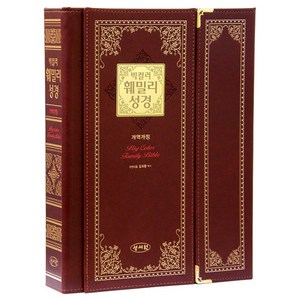 강대용 큰글씨 빅컬러 훼밀리 성경책 특대 단본 N자주