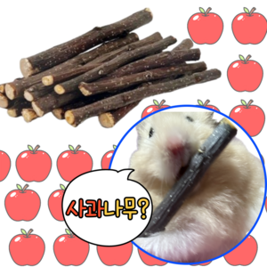 (best) 사과나무 이갈이 햄스터 기니피그 소동물 이갈이, 50g, 1개