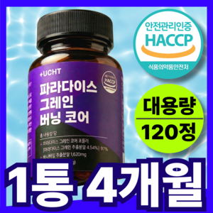 유캔헬씨 파라다이스 그레인 버닝 추출물 그래인 플러스, 1개, 120정