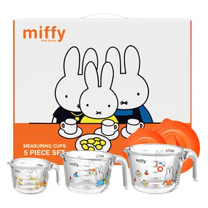 에지리 내열 유리 미피 계량컵 5p 세트, 투명, 1개, 250ml, 500ml, 1000ml