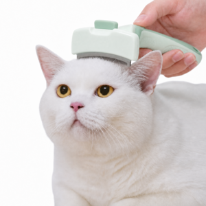 고양이 강아지 브러쉬 죽은털 제거 원터치 브러쉬 빗 털갈이 단모종 반려동물 그루밍 애견 빗질 털정리, 1개, 말차 그린