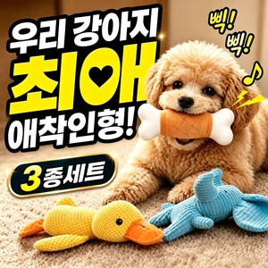 강아지 장난감 고내구성 튼튼한 저작 이갈이 천 장난감 심심풀이 반려견 용품, 3개, 랜덤 봉제인형