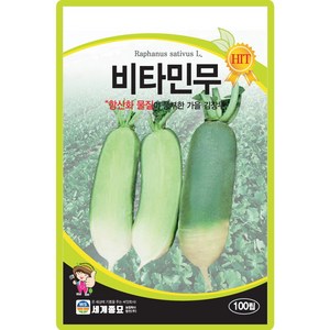 세계종묘 비타민무 씨앗 100립 가을 김장무씨 종자, 1개