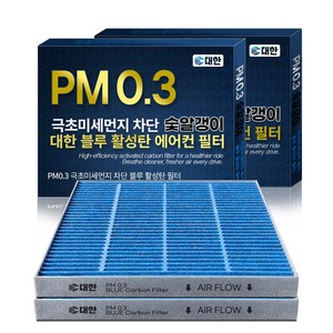 대한카필터 PM0.3 블루 활성탄 자동차 에어컨 필터, 2개, BF159