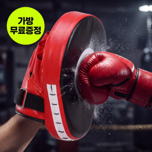 타격공식 100% 전수검수 찰진소리 복싱 펀치 미트 2p 전용 가방 세트 포함, 1세트, 레드