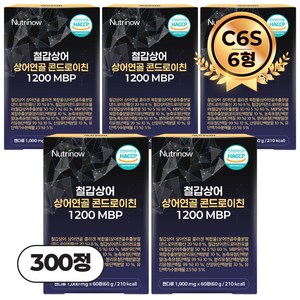 뉴트리나우 철갑상어 연골 콘드로이친 1200 MBP 6형 C6S 식약청 인증 HACCP, 5개, 60회분