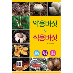 약용버섯 & 식용버섯:버섯 채취법/독버섯 구별법/간단한 섭취법, 21세기사, 황극남(엮음)