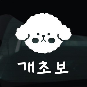 디자인황소 초보운전 스티커 차량스티커 차량 자동차 데칼 시트지, 1개, 45 개초보 비숑