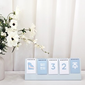 신생아 5칸 디데이달력 아기 육아 캘린더, 1개, 블루
