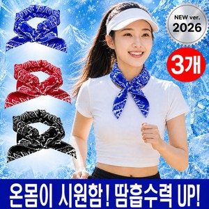 소소잇템 꽁꽁 쿨스카프 아이스 넥쿨러 쿨링 3p, 블랙3P