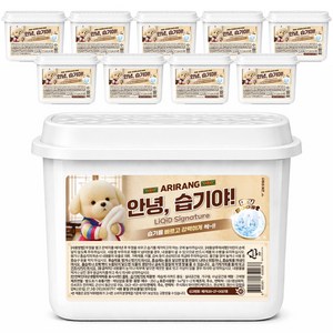 제습제 안녕습기야 옷장제습 물먹는 습기제거제, 10개, 250g