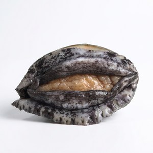 완도사랑 싱싱할 활 전복 1kg 완도산 직거래 산지직송 산소포장, 1개, (대전복) 10-12미 (산소포장), 2kg 골드박스 특가