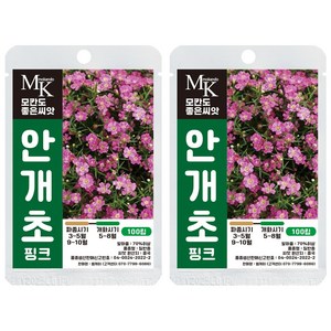 모칸도 좋은씨앗 안개초 핑크 씨앗 100립 꽃씨 꽃씨앗, 2개
