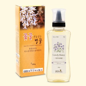 설악산허니팜 아카시아꿀, 500g, 1개