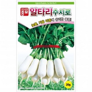 아시아종묘 수시로 알타리무 씨앗 20g, 1개