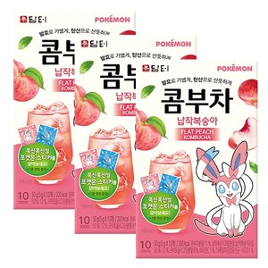 담터 포켓몬 납작복숭아 콤부차, 5g, 10개입, 3개