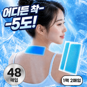 로운디 바로쿨다운 쿨패치 붙이는 쿨링 냉각시트, 48개