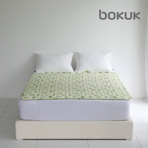 보국전자 에어셀 전기요 인디언숲 BKB-1627, 혼합색상, 더블(135 x 180 cm)
