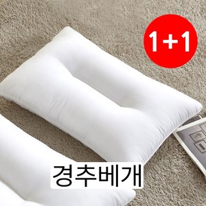 1+1 통째로 빨아쓰는 퓨어리 항균베개솜(진드기차단) 40x60 / 50x70, 1개, 항균경추