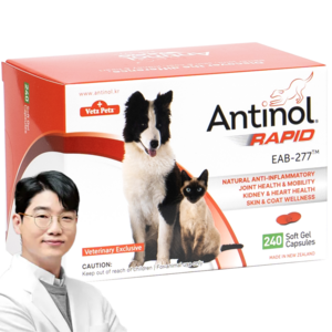 안티놀 래피드 240정, 뼈/관절강화, 1개
