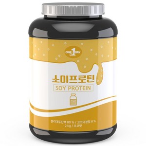 원데이뉴트리션 소이프로틴 단백질 쉐이크 초코맛, 2kg, 1개