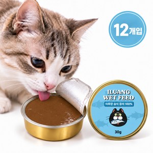 이루앙 고양이 노묘 습식사료 간식 미니캔, 12개, 30g, 참치