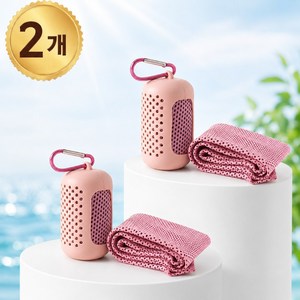 반디루 아이스 쿨타올 휴대용 쿨링 스포츠 타올, 2개, 쿨 핑크