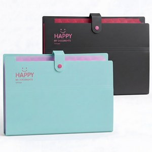 아코디언 파일 12칸 a4 파일 케이스 서류 정리함, 2개, 블랙민트