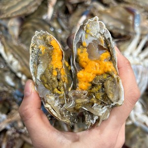 암꽃게 알이 꽉찬 제철 활꽃게 신선한 국내산 급냉 꽃게, 1개, 1kg
