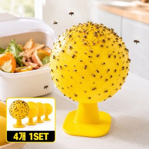 율샵 버그볼 초파리 트랩 끈끈이 날파리 퇴치기 퇴치제, 4개, 80g