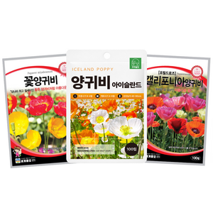 혼합 양귀비 씨앗 3종 세트 / 꽃양귀비 아이슬란드양귀비 캘리포니아양귀비 꽃씨 꽃씨앗 꽃씨몰 주주씨앗 봄 여름 가을 파종, 1개