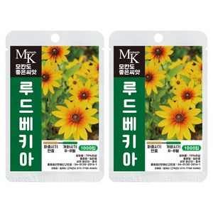 모칸도 좋은씨앗 루드베키아 씨앗 1000립 일반종 꽃씨 꽃씨앗, 2개