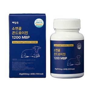 해담온 소연골 콘드로이친 1200 관절연골 무릎영양제 MSM+보스웰리아 프리미엄, 1개, 60정