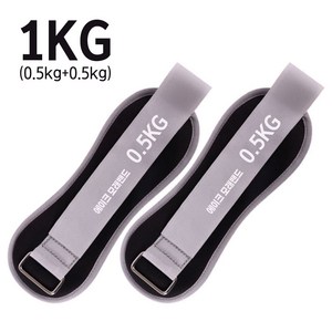 에이크 핏웨이트 모래주머니 2개입 손목 발목 중량밴드, 블랙, 500g