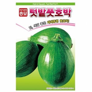 아시아종묘 텃밭풋호박 호박 씨앗 30립, 1개