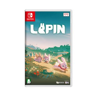 닌텐도 Switch 라핀 한국어판